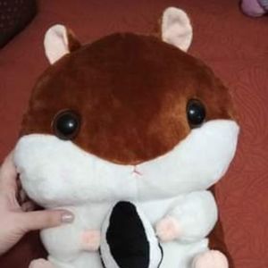 hamster bag